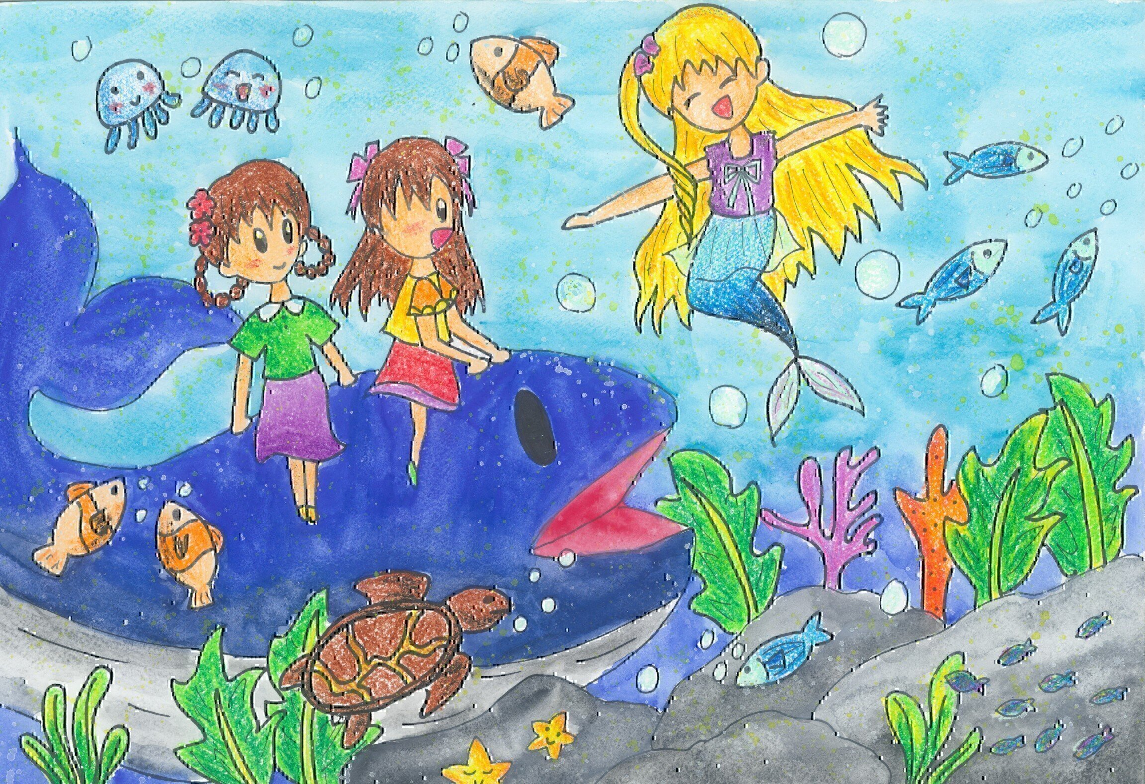 奇妙的海底世界