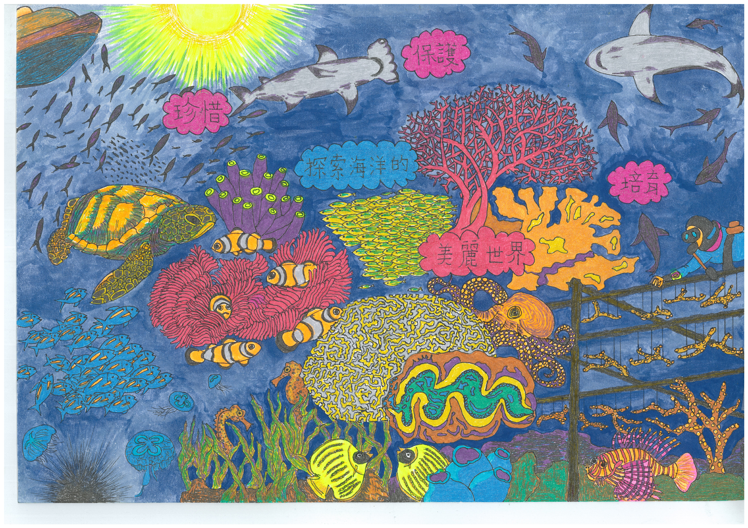 探索海洋的美麗世界